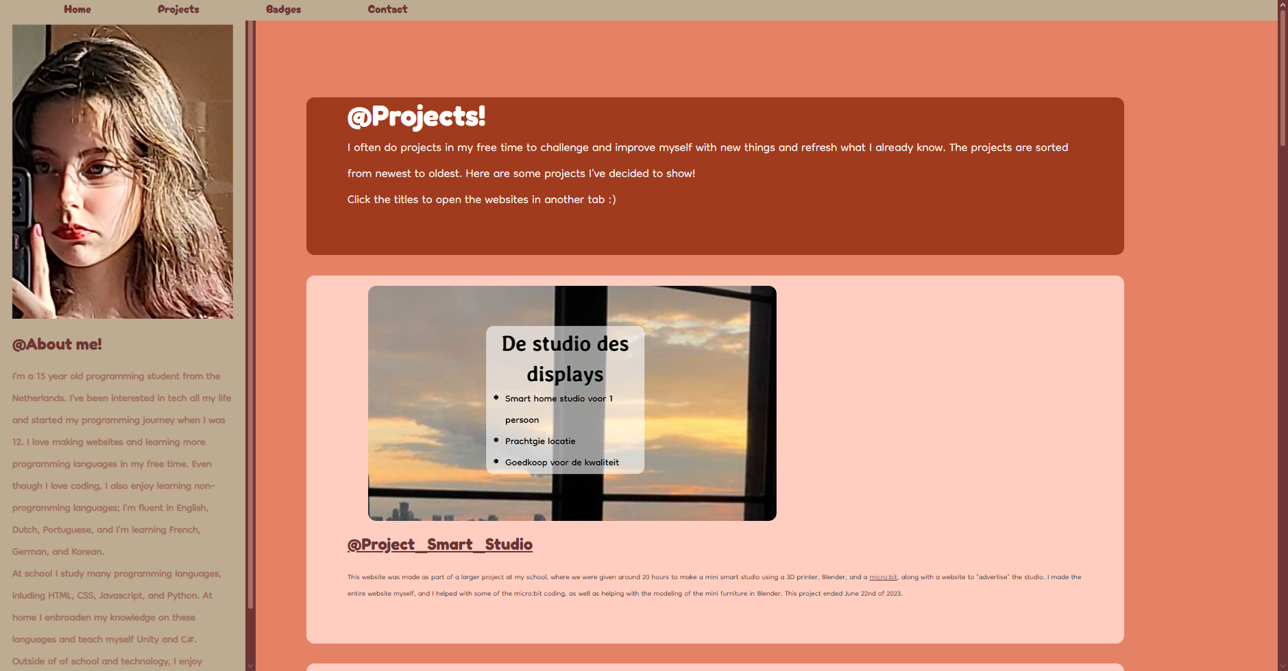 picture of the project